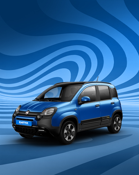 Banner Fiat Panda Iconica