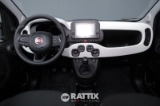 Miniatura Fiat Panda Pandina 1.0 Firefly Hybrid 70CV 5p.ti Nero  Nuovo foto 29