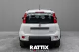 Miniatura  FIAT panda iii 2021 Km 0 Bianco foto 20