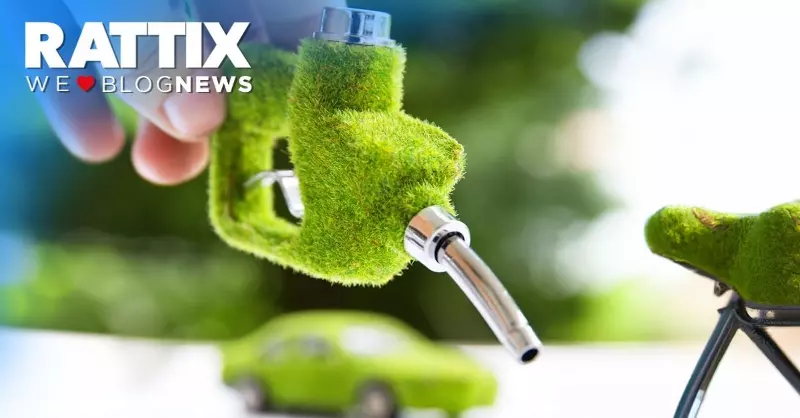 Carburanti sintetici e biocarburanti: cosa sono e quanto inquinano?