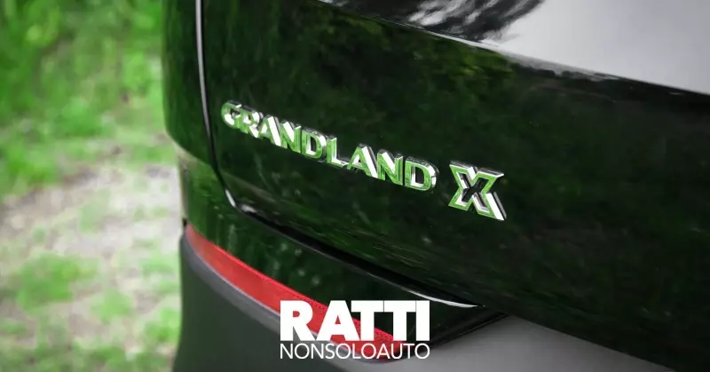 Opel Grandland X: perché scegliere questo SUV?