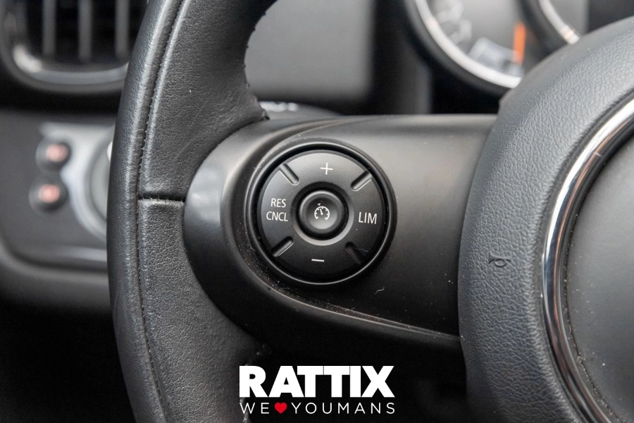 MINI mini countryman f60 2020 Usato Sage Green  foto 12