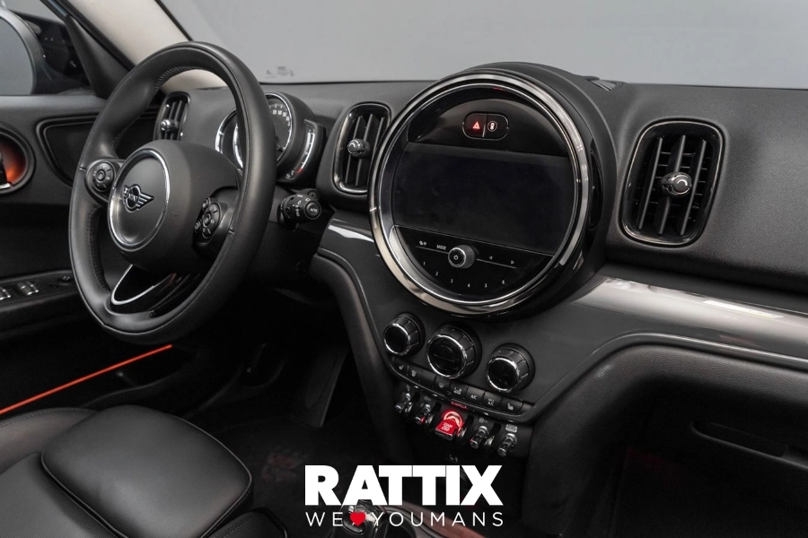  MINI mini countryman f60 2020 Usato Sage Green  foto 17